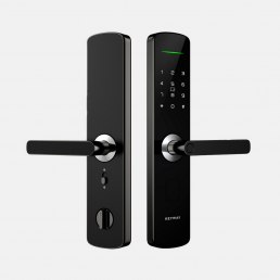 Умный замок KeyWay SL300