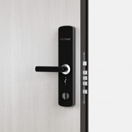 Умный замок KeyWay SL300