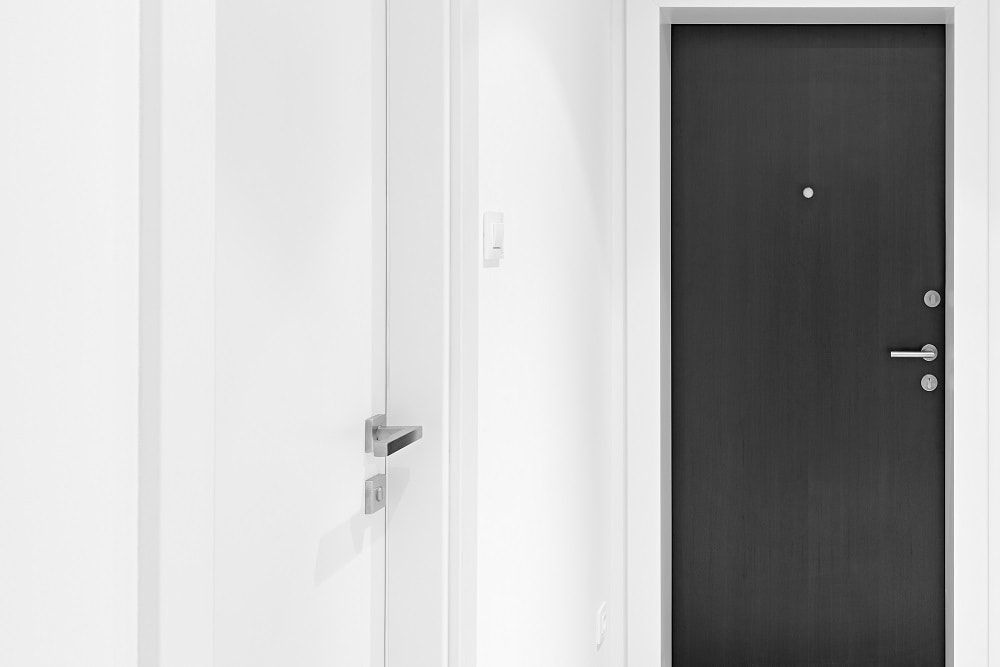 Входные двери с противосъемными ригелями Входные двери с противосъемными ригелями