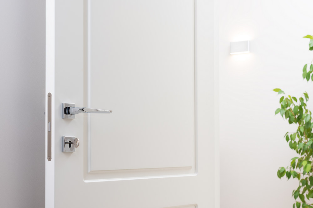 Эмалированная межкомнатная дверь в интерьере